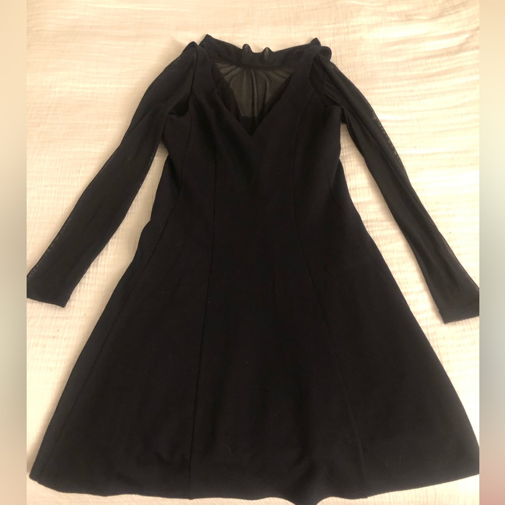 Mauve (Anthropologie) dress, sheer sleeves. A-line skirt, jersey/knit material.